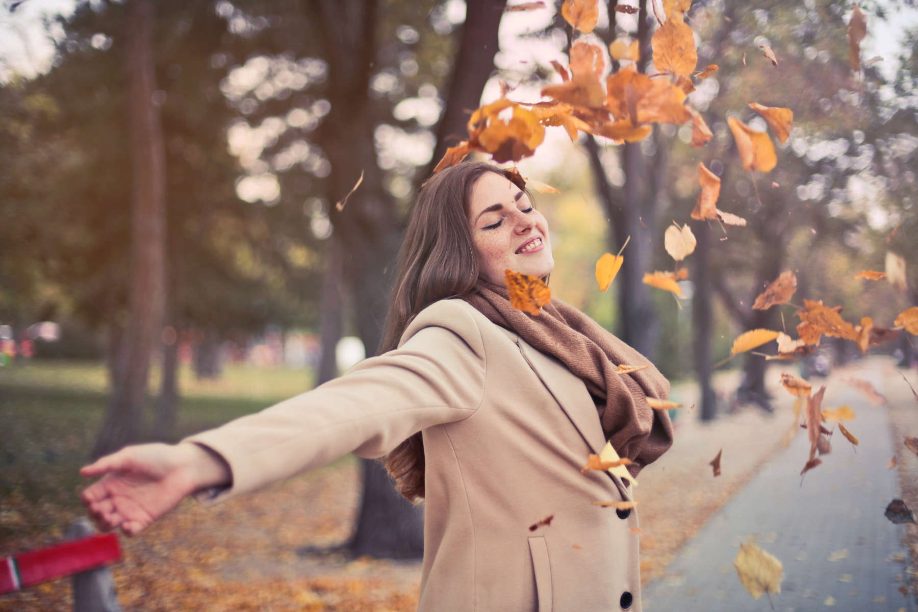 Immagine relativa al post intitolato Gli integratori energetici migliori per affrontare l'autunno 