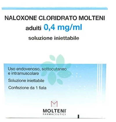 NALOXONE CLOR MOLT*F 0,4MG 1ML - Gruppofarmastore.it