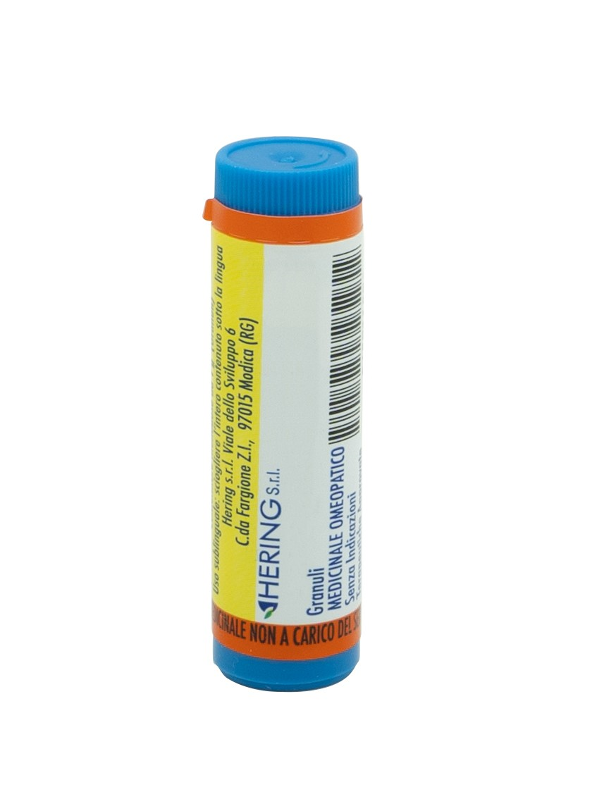 PLUMBUM METALLICUM*30CH GL 1G - Gruppofarmastore.it