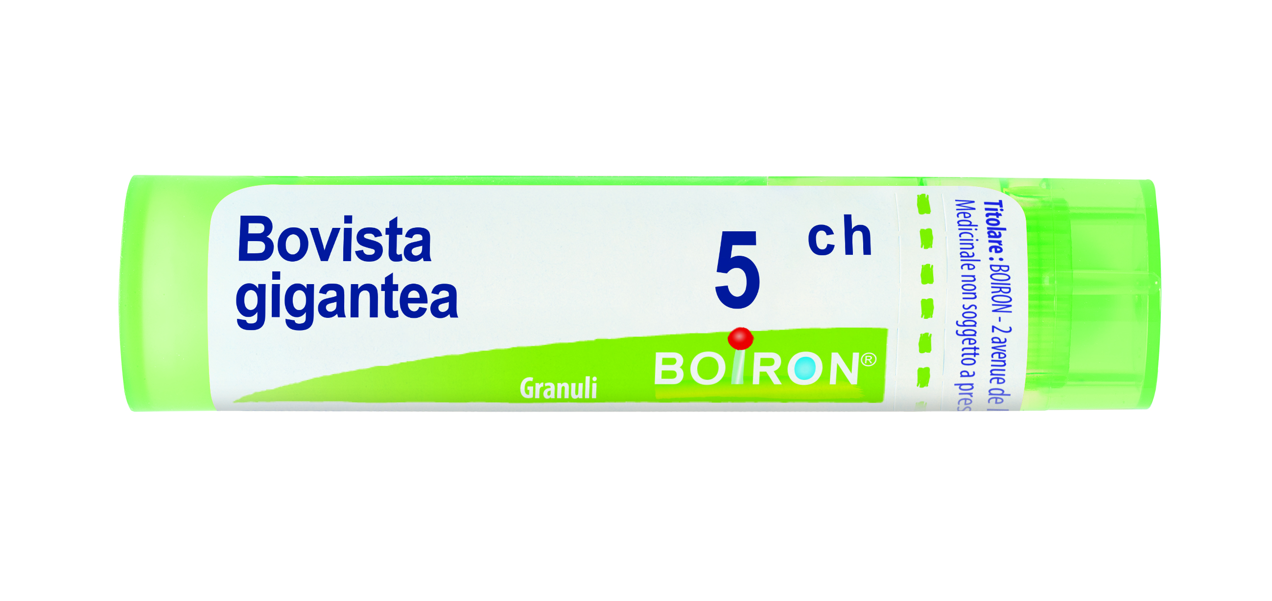 BOVISTA GIGANTEA*5CH 80GR 4G - Gruppofarmastore.it