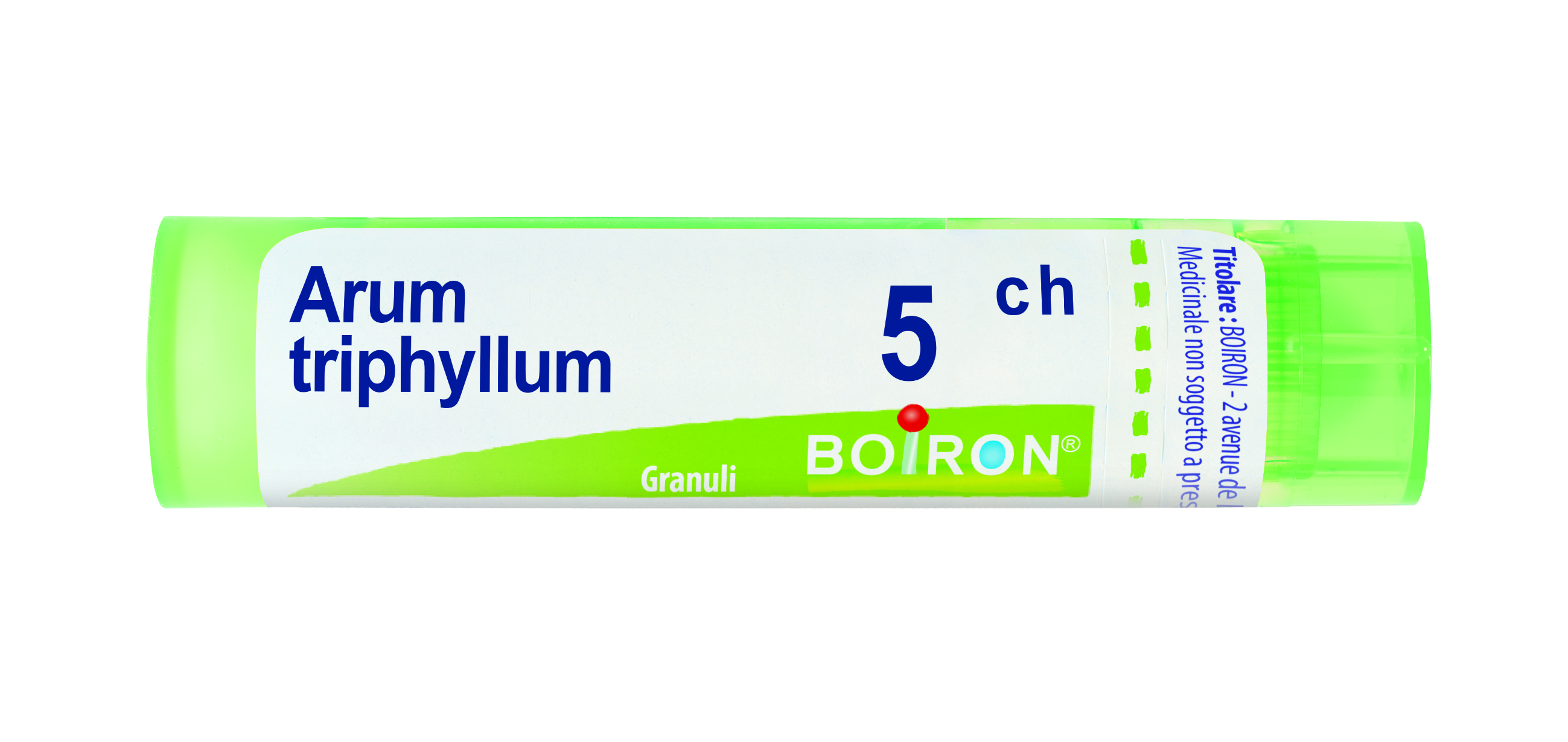 ARUM TRIPHYL BOI*5CH GR 4G - Gruppofarmastore.it