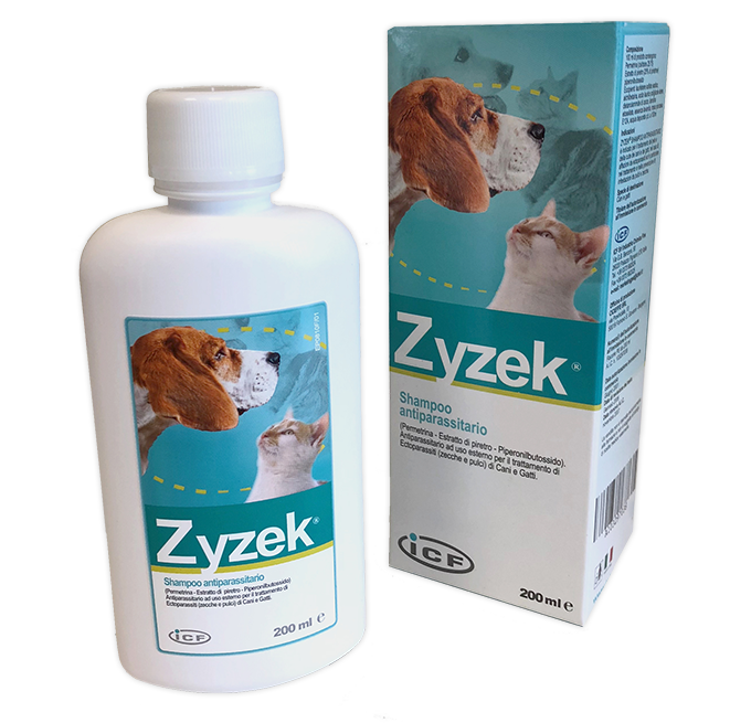 ZYZEK SHAMPOO ANT*FL PE 200ML - Gruppofarmastore.it