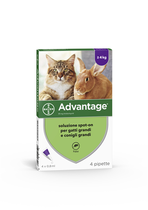 ADVANTAGE*4PIP 0,8ML SPOTON - Gruppofarmastore.it