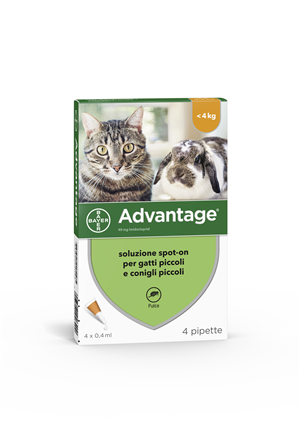 ADVANTAGE*4PIP 0,4ML SPOTON - Gruppofarmastore.it