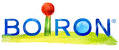 ARNICA MONTANA 5CH GRANULI - Gruppofarmastore.it