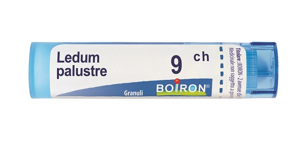 LEDUM PALUSTRE 9 CH GRANULI 4G - Gruppofarmastore.it