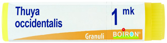THUYA OCCIDENTALIS MK GLOBULI - Gruppofarmastore.it