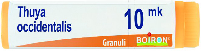 THUYA OCCIDENTALIS XMK GLOBULI 1G - Gruppofarmastore.it