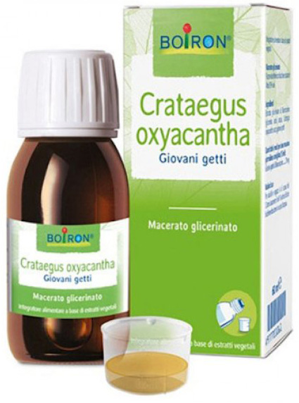 CRATAEGUS OXYACANTHA  TINTURA MADRE 60 ML - Gruppofarmastore.it