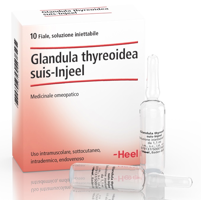 HEEL GLANDULA THYROIDEA SUIS INJEEL 10 FIALE - Gruppofarmastore.it