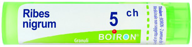 RIBES NIGRUM 5CH GRANULI - Gruppofarmastore.it