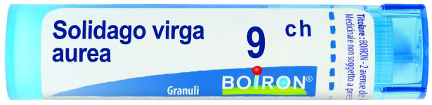 SOLIDAGO VIRGA AUREA 9CH GRANULI 4G - Gruppofarmastore.it
