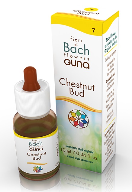 CHESTNUT BUD GOCCE 10 ML - Gruppofarmastore.it