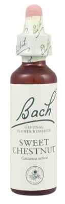 SWEET CHESTNUT BACH ORIGINAL 10 ML - Gruppofarmastore.it