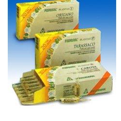 FISIOSOL PL TIMO 20F - Gruppofarmastore.it