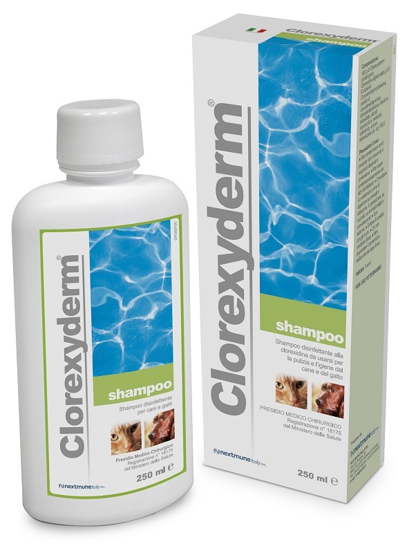 CLOREXYDERM SHAMPOO 250 ML - Gruppofarmastore.it