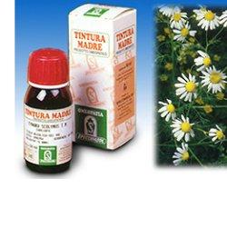 CAMOMILLA 7 50ML TM - Gruppofarmastore.it