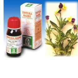 VIOLA DEL PENSIERO 32 50ML TM - Gruppofarmastore.it