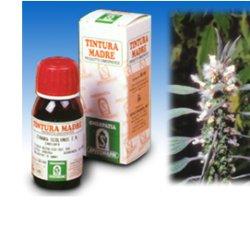CARDIACA 16 50ML TM - Gruppofarmastore.it