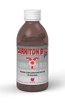 CARNITON B 12 80 COMPRESSE - Gruppofarmastore.it