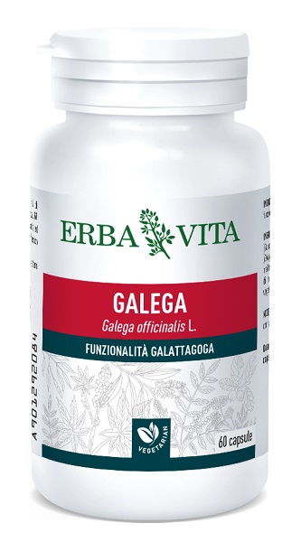 GALEGA 60 CAPSULE - Gruppofarmastore.it