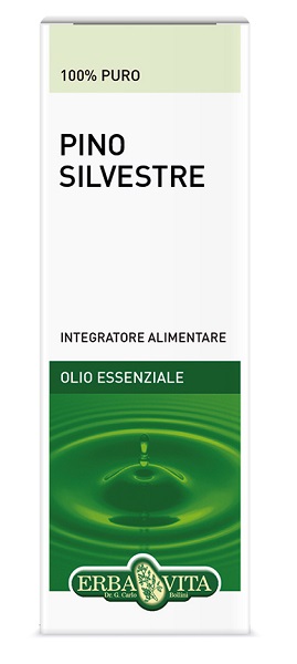 PINO SILVESTRE OLIO ESSENZIALE 10 ML - Gruppofarmastore.it
