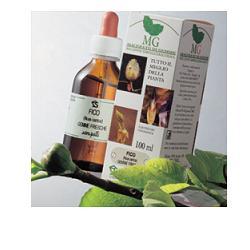 ROSA CANINA 100ML MG - Gruppofarmastore.it