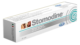 STOMODINE GEL GENGIVALE CANI 30 ML - Gruppofarmastore.it