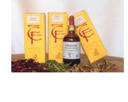 FICO GEMME 100ML MG - Gruppofarmastore.it