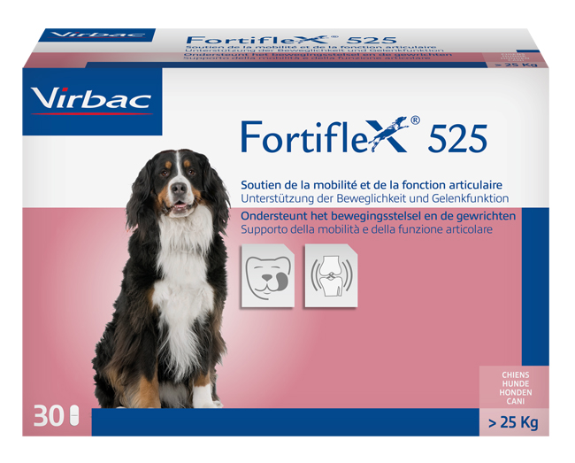 FORTIFLEX 525 MG 30 COMPRESSE APPETIBILI - Gruppofarmastore.it