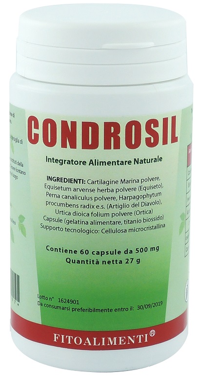 CONDROSIL 60 CAPSULE - Gruppofarmastore.it