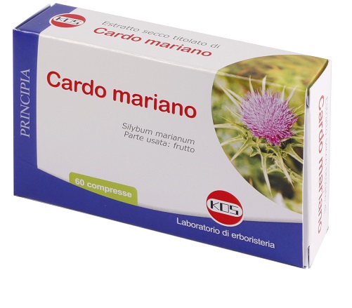 CARDO MARIANO ESTRATTO SECCO 60 COMPRESSE - Gruppofarmastore.it