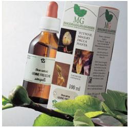 BETULLA 100ML MG - Gruppofarmastore.it