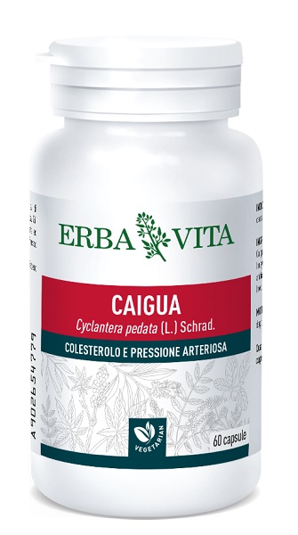 CAIGUA 60 CAPSULE 400 MG - Gruppofarmastore.it