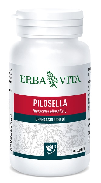 PILOSELLA 60 CAPSULE 400 MG - Gruppofarmastore.it
