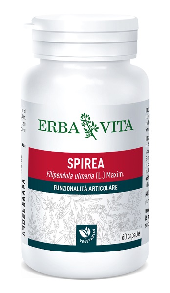 SPIREA ULMARIA 60 CAPSULE 400 MG - Gruppofarmastore.it