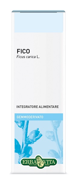 GEMMODERIVATO FICO 50 ML - Gruppofarmastore.it