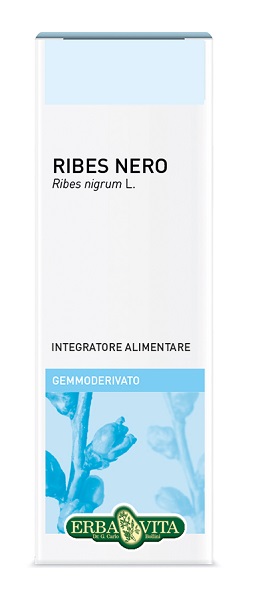 GEMMODERIVATO RIBES NERO 50 ML - Gruppofarmastore.it