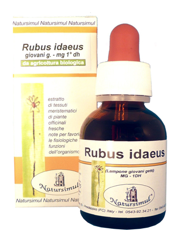 RUBUS IDAEUS GETTI 1DH MG 50ML - Gruppofarmastore.it