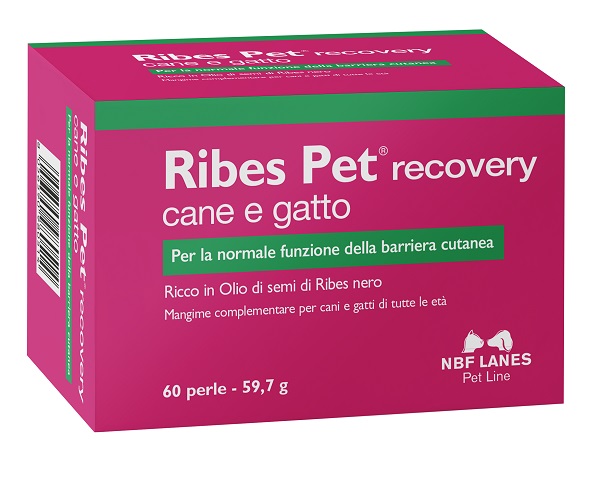 RIBES PET RECOVERY BLISTER 60 PERLE - Gruppofarmastore.it