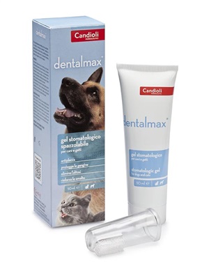 DENTALMAX GEL STOMATOLOGICO 50 ML - Gruppofarmastore.it