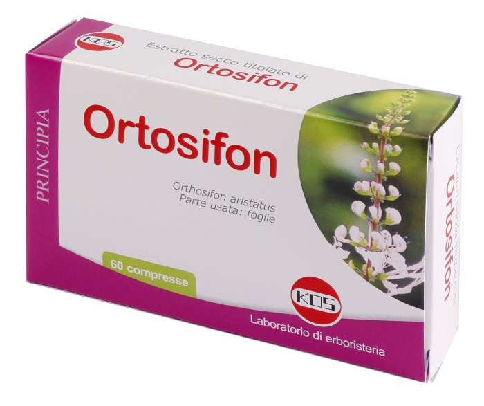 ORTOSIFON ESTRATTO SECCO 60 COMPRESSE - Gruppofarmastore.it