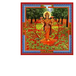 TRIPHAURUM GOCCE 30 ML - Gruppofarmastore.it