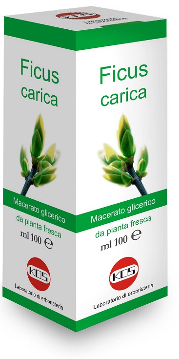FICUS CARICA MG 100 ML GOCCE - Gruppofarmastore.it