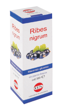 RIBES NIGRUM MG 100 ML GOCCE - Gruppofarmastore.it