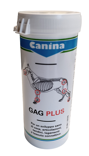 GAG PLUS 100 G 60 TAVOLETTE - Gruppofarmastore.it
