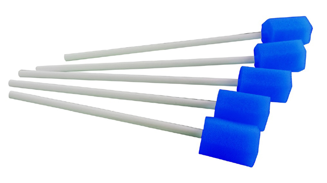 BASTONCINO PULIZIA CAVO ORALE 5 PEZZI - Gruppofarmastore.it