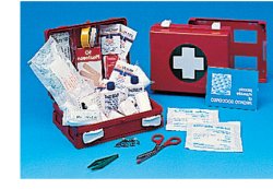 CASSETTA PRONTO SOCCORSO FAMILY PER CAMPEGGIO, BRICOLAGE, CASA E UFFICIO. CONTENITORE IN ABS ANTIURTO CON SUPPORTO PER IL FISSAGGIO ALLA PARETE - Gruppofarmastore.it