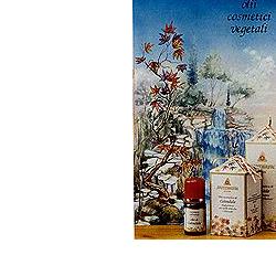 CALENDULA OLIO 100ML - Gruppofarmastore.it