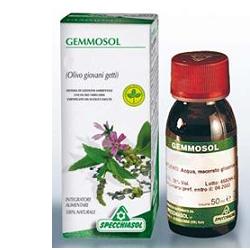 GEMMOSOL 3 IPPOCASTANO 50ML - Gruppofarmastore.it